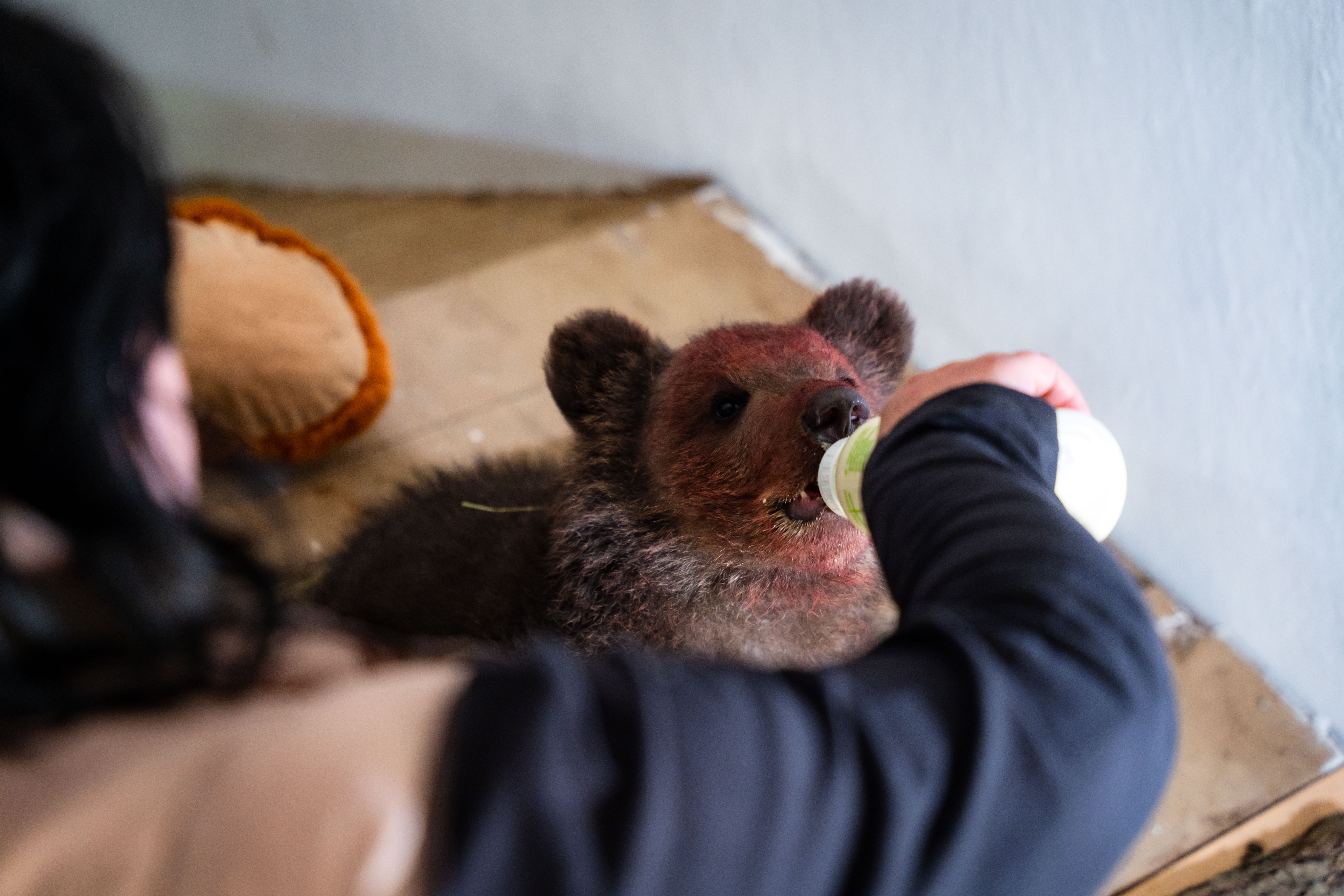 Slavnostne odomykanie vrany ZOO Kosice-1-68